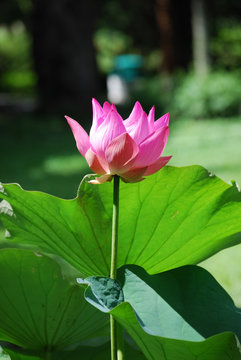 幸运飞艇九宫神计划神幸运投注